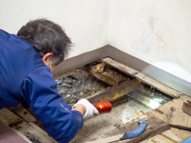 Best HVAC Mold Remediation in Shorewood Tower Hills Harbert, MI