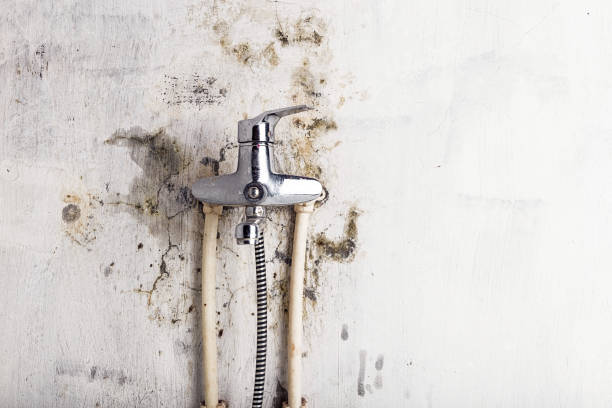 Best Post-Flood Mold Remediation in Shorewood Tower Hills Harbert, MI